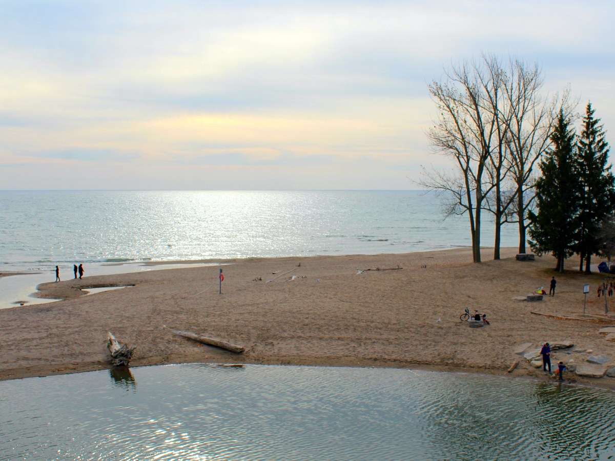 5 Reasons to Visit the Beach at Rouge National Urban&nbsp;Park