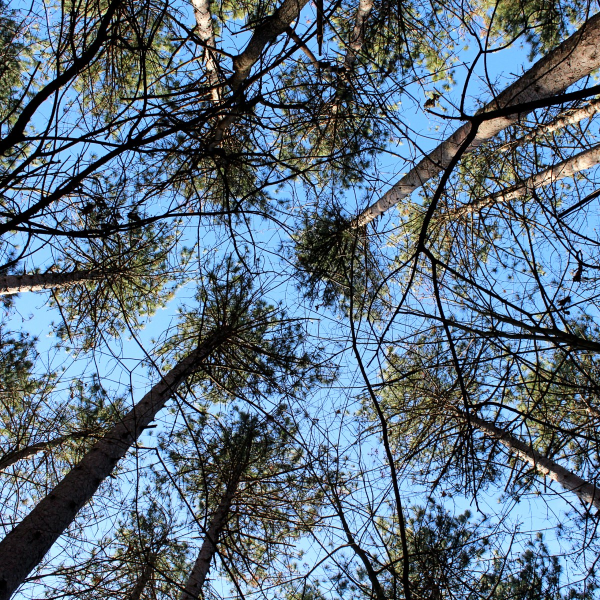 The Best Checklist Of What To Bring On A Day&nbsp;Hike