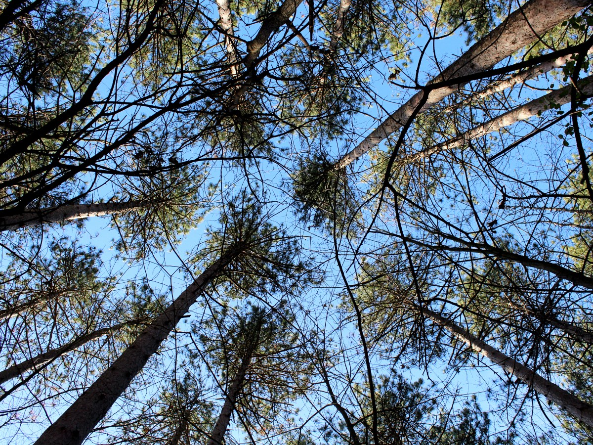 The Best Checklist Of What To Bring On A Day&nbsp;Hike