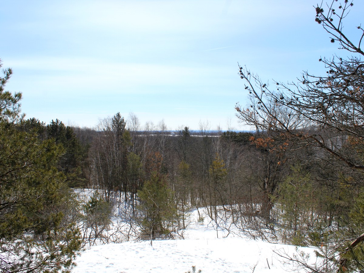Sunny Day at Wilder Forest in&nbsp;Uxbridge