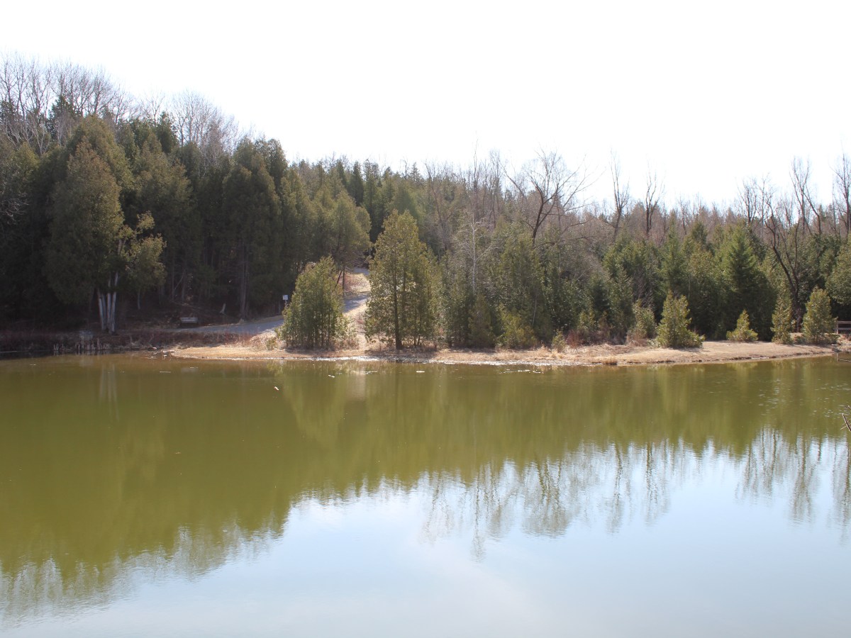 Heber Down Conservation Area in&nbsp;Whitby