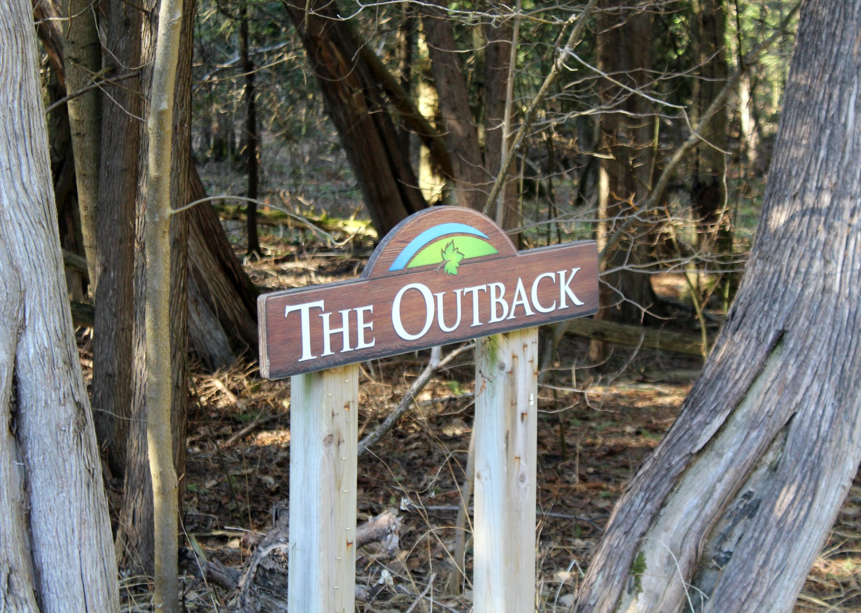 Hiking at Greenwood Conservation and Brock Lands – The Ground Stompers