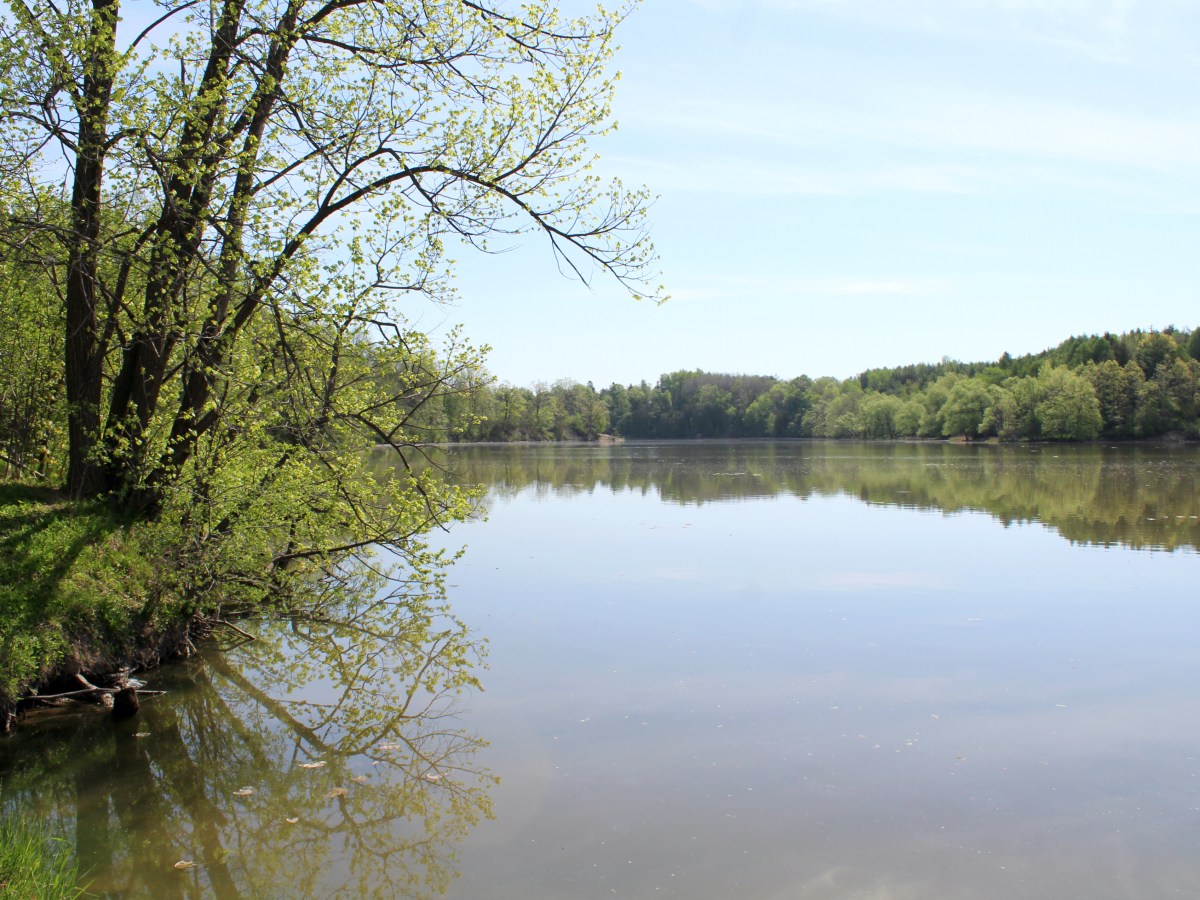 Birding at Milne Dam Conservation Park in&nbsp;Markham