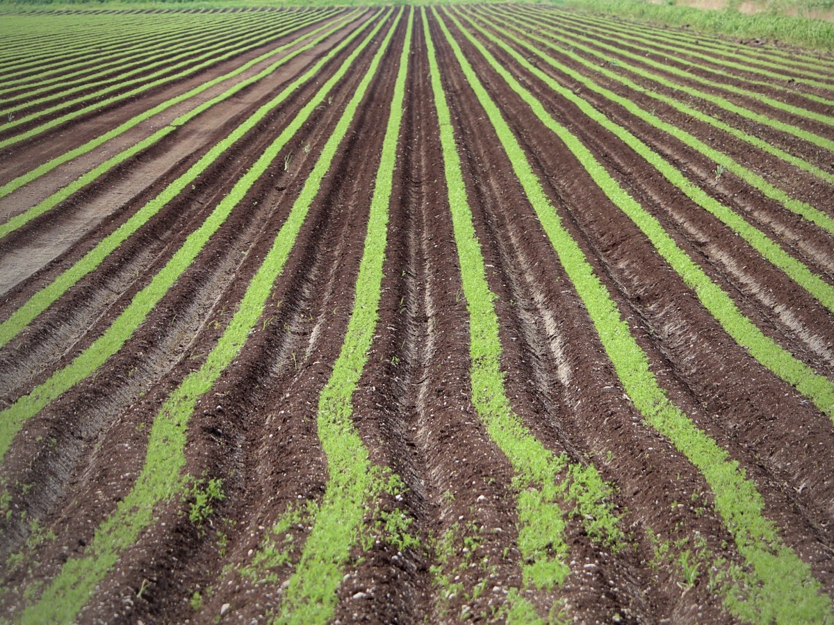 Fishing at Holland River in&nbsp;Bradford
