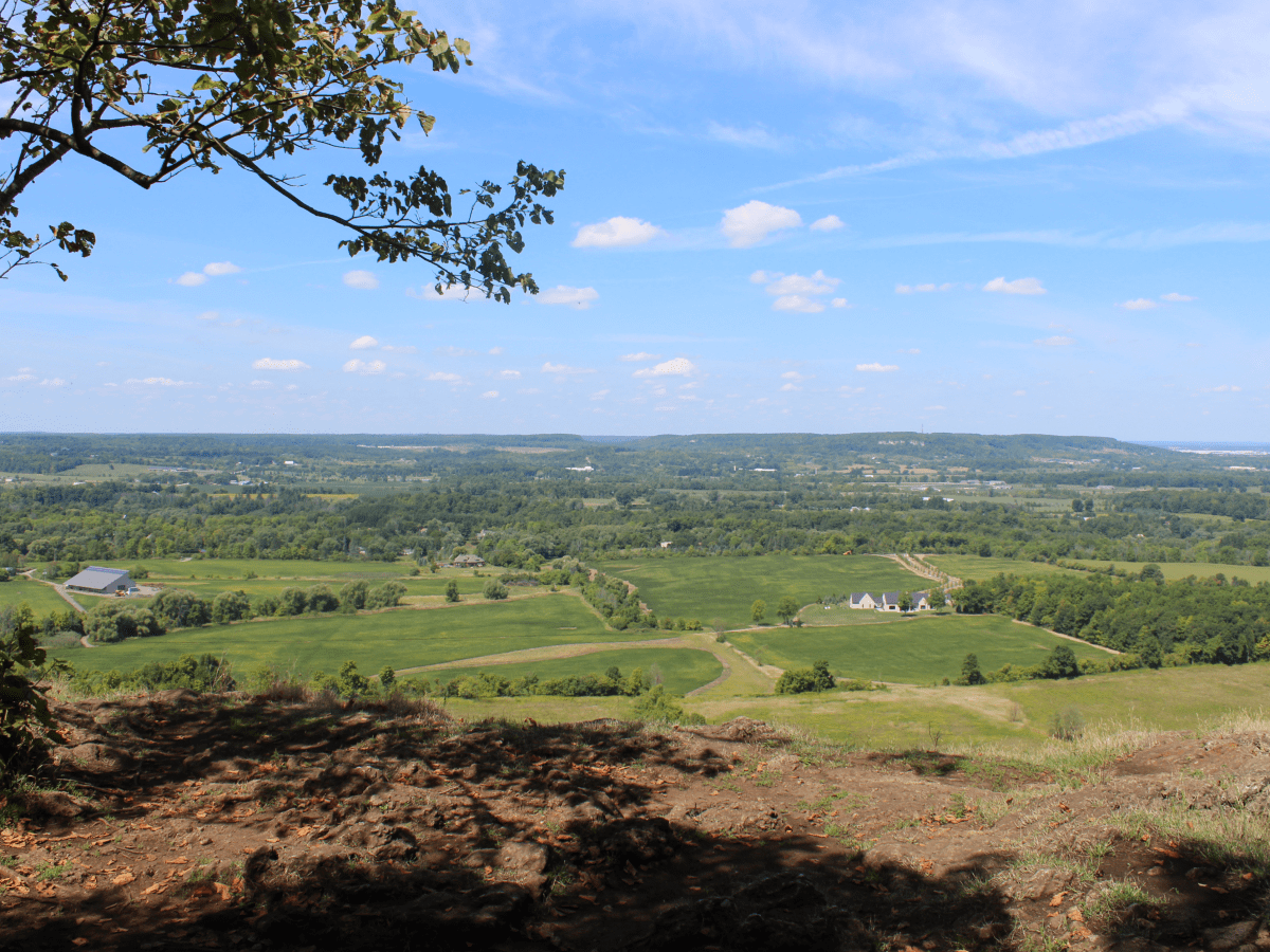 Views at Mount Nemo Conservation&nbsp;Area