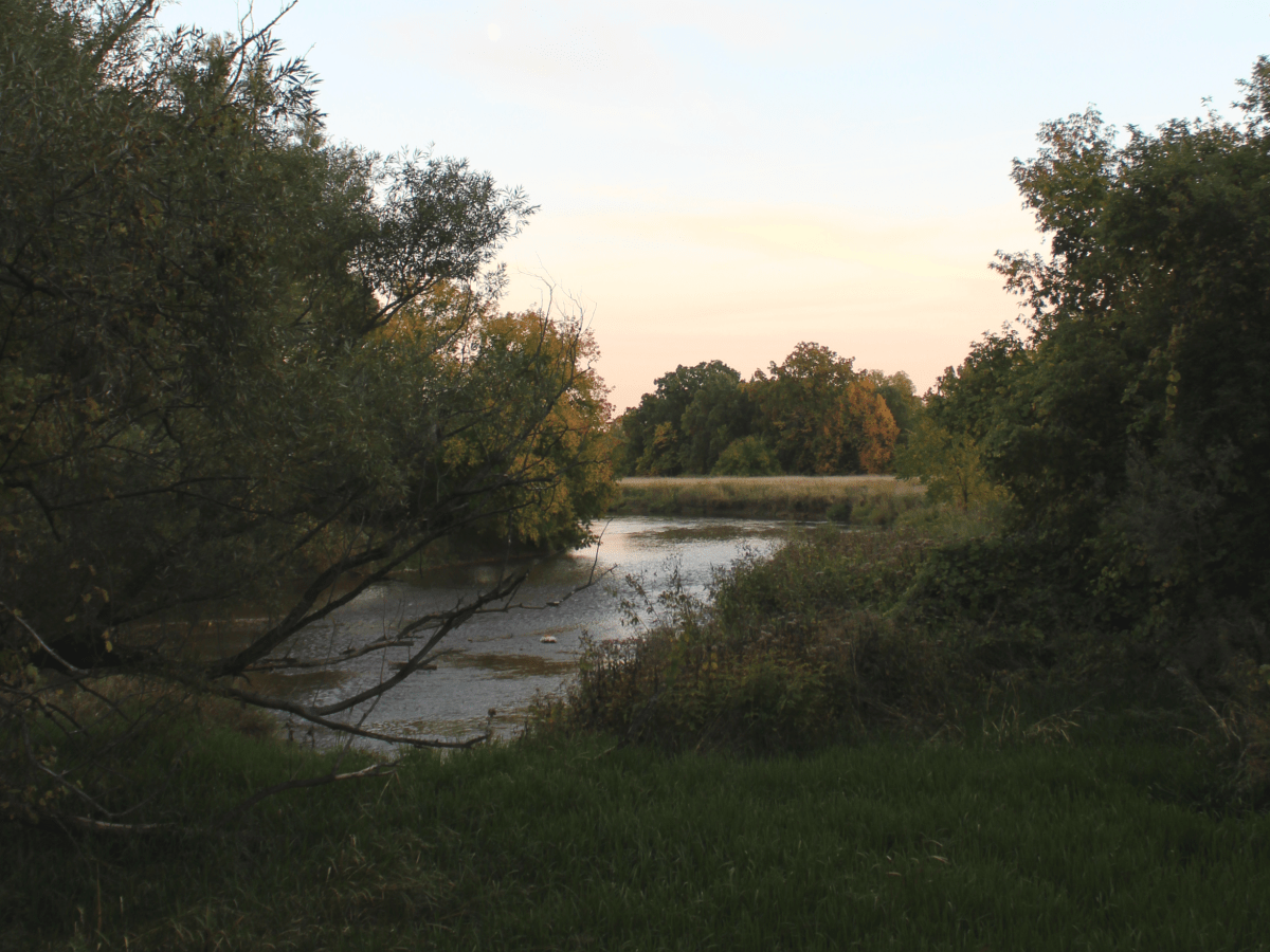 Scenery at Meadowvale Conservation Area 