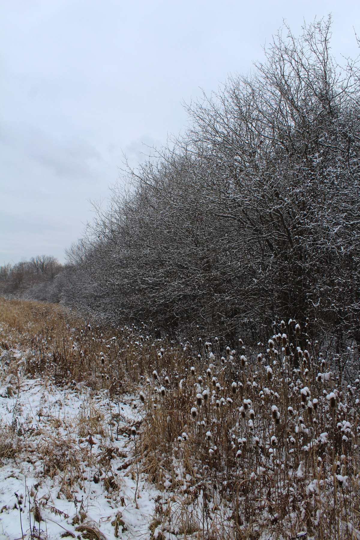 Claireville Conservation Area