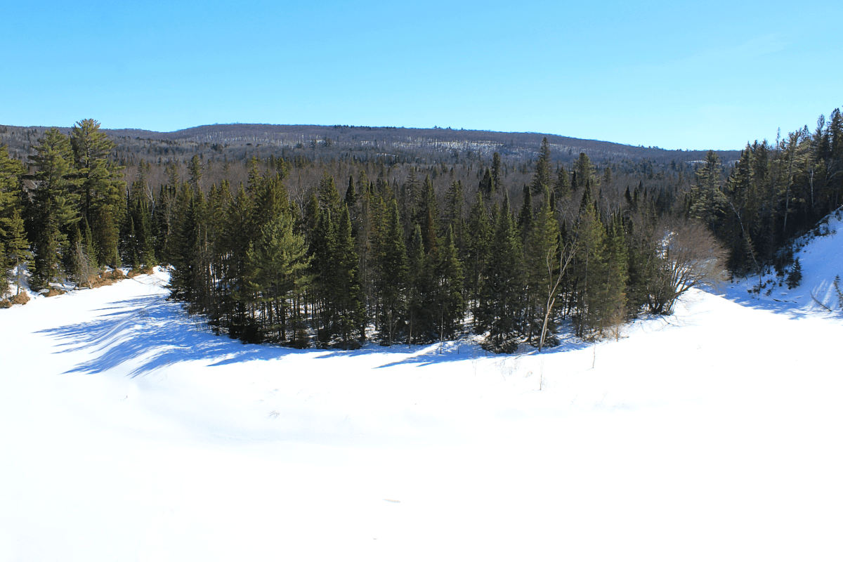 Snowshoeing at Arrowhead Provincial&nbsp;Park